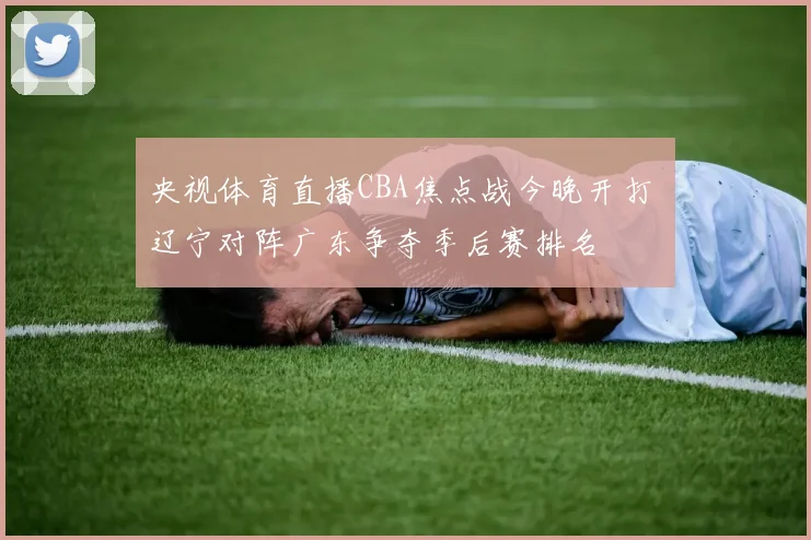 央视体育直播CBA焦点战今晚开打 辽宁对阵广东争夺季后赛排名