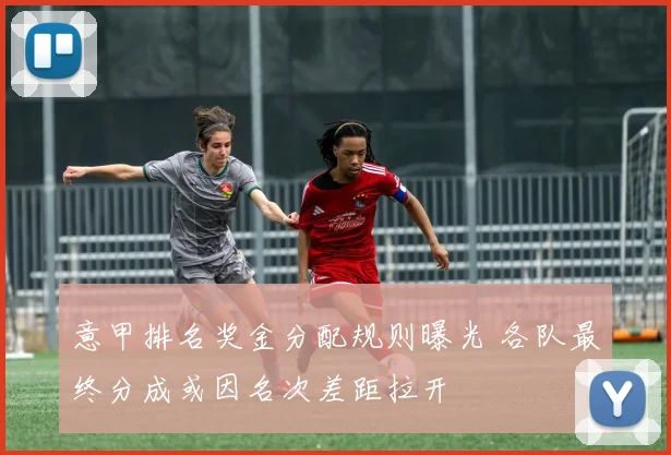 意甲排名奖金分配规则曝光 各队最终分成或因名次差距拉开