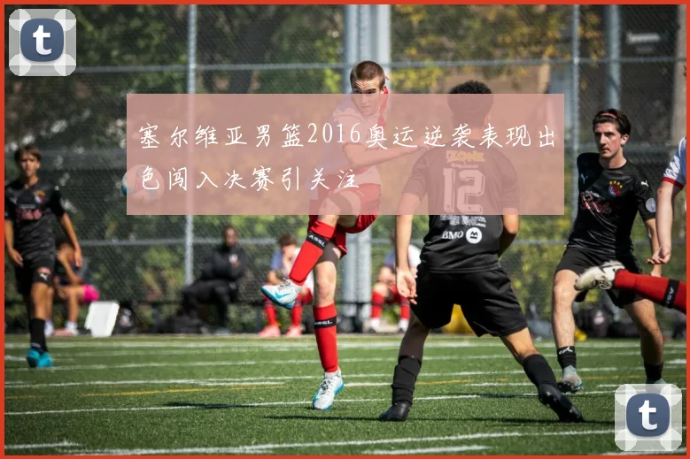 塞尔维亚男篮2016奥运逆袭表现出色闯入决赛引关注