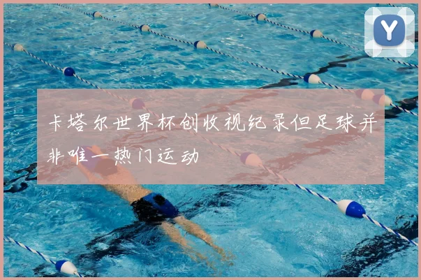 卡塔尔世界杯创收视纪录但足球并非唯一热门运动
