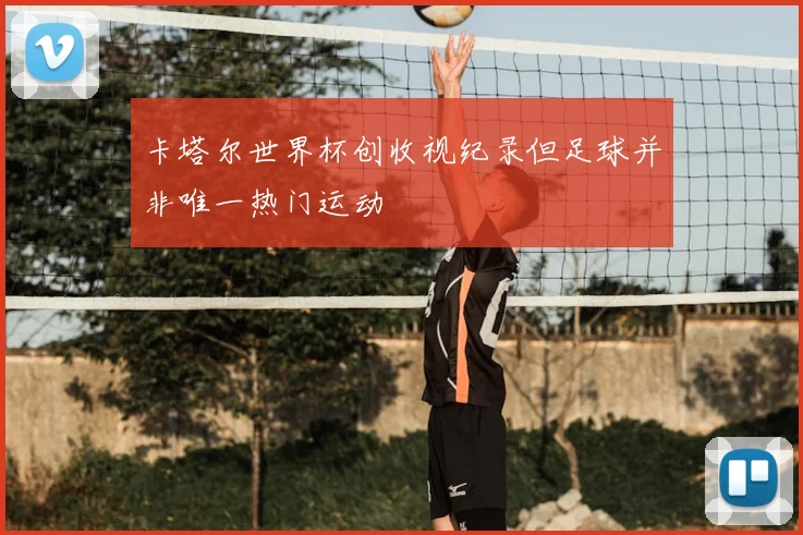 卡塔尔世界杯创收视纪录但足球并非唯一热门运动