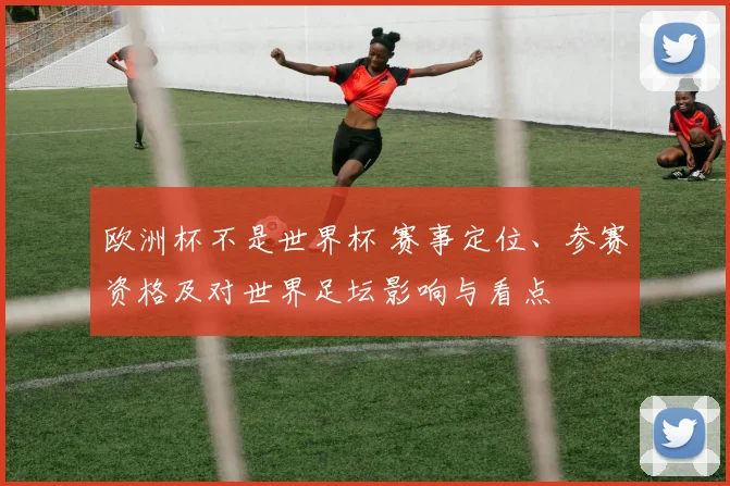 欧洲杯不是世界杯 赛事定位、参赛资格及对世界足坛影响与看点